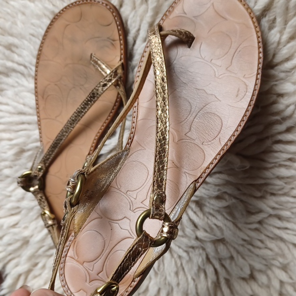 Coach  sandals - Picture 15 of 15